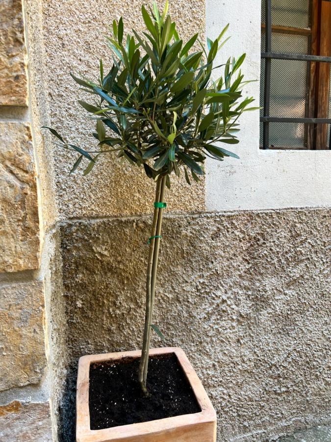 Seayou!***Charming 1-Bedroom Rental Unit In The Old City Center Of كريس المظهر الخارجي الصورة
